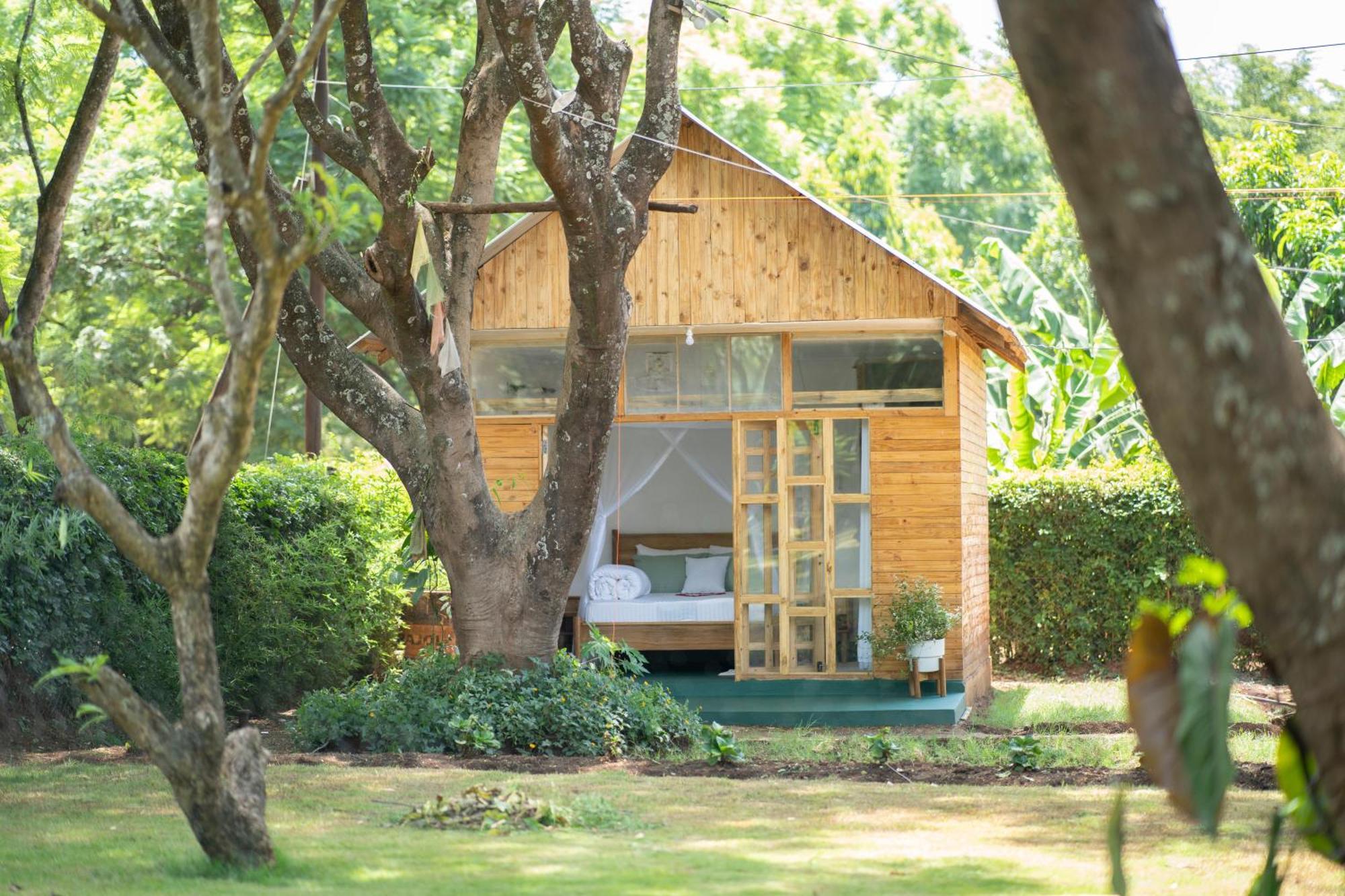 Mkoani Homestay モシ エクステリア 写真